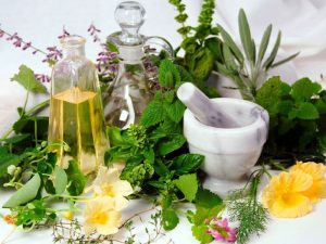 Ayurvedic Franchise Company in Gujarat