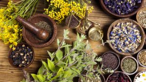 Ayurveda Business Opportunity in India 