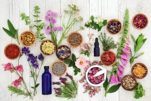 Herbal Shampoo Manufacturers In Gujarat