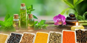 Ayurvedic Third Party Manufacturers in Haridwar