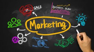 How to Start Ayurvedic Marketing Company
