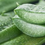 Top Aloe Vera Gel Manufacturers in India