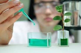 Ayurvedic Medicine Manufacturers In Meerut