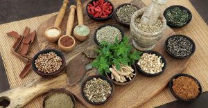 Ayurvedic Medicine Manufacturers In Paonta Sahib