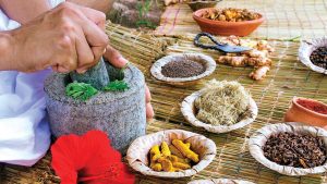 Ayurvedic Medicine Manufacturers In Leh Ladakh