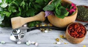 Ayurvedic Medicine Manufacturers In Ujjain