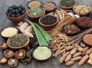 Ayurvedic PCD Company In Aligarh