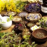 Ayurvedic PCD Company In Coimbatore